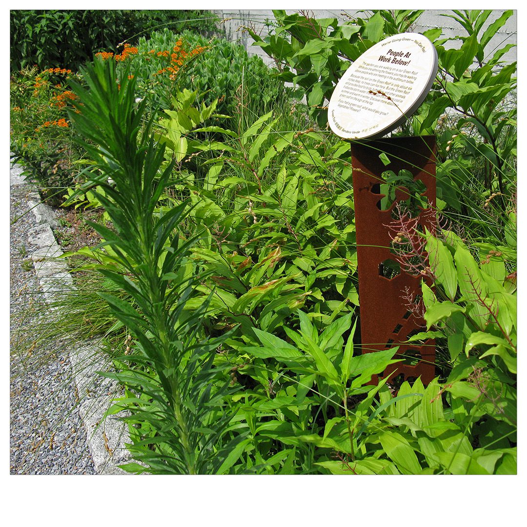 Garden Signage Queens Botanical Garden Anne Garland Design